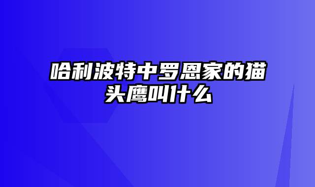 哈利波特中罗恩家的猫头鹰叫什么