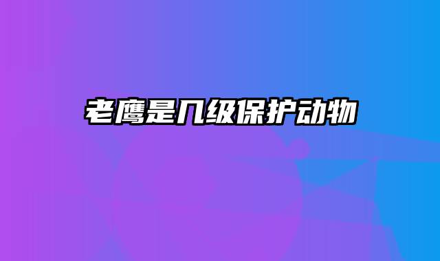 老鹰是几级保护动物