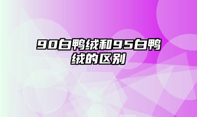 90白鸭绒和95白鸭绒的区别