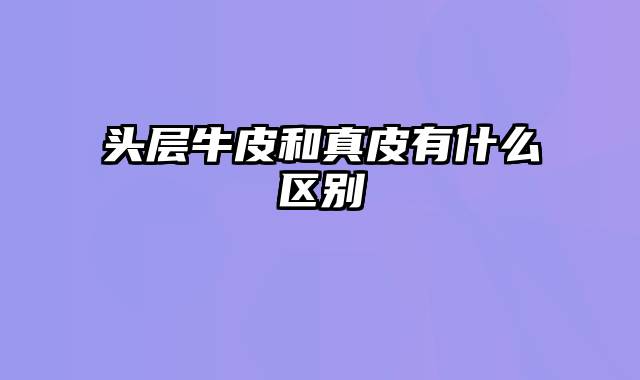头层牛皮和真皮有什么区别