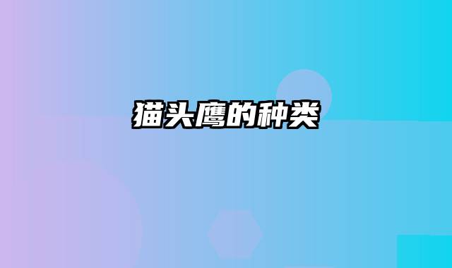 猫头鹰的种类