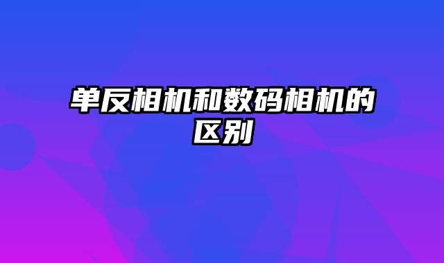 单反相机和数码相机的区别