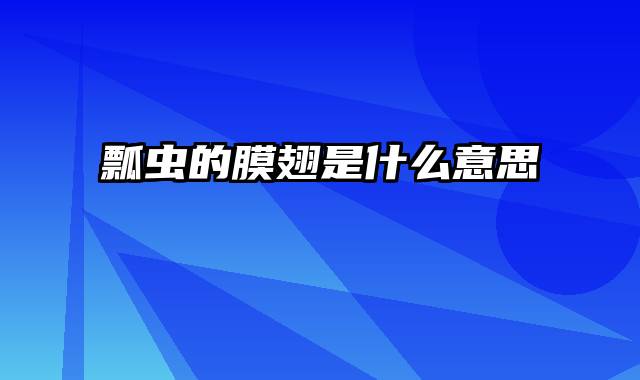 瓢虫的膜翅是什么意思