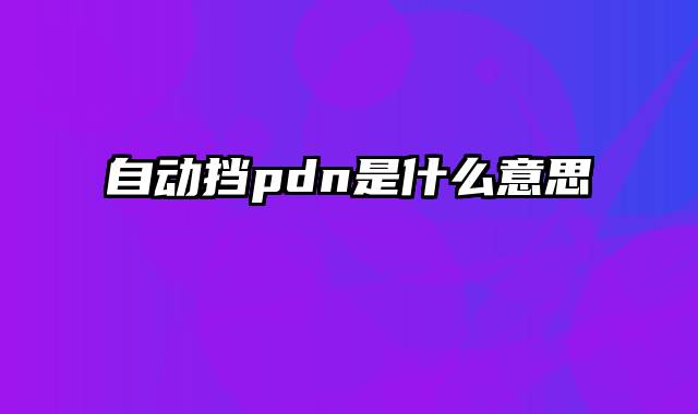 自动挡pdn是什么意思