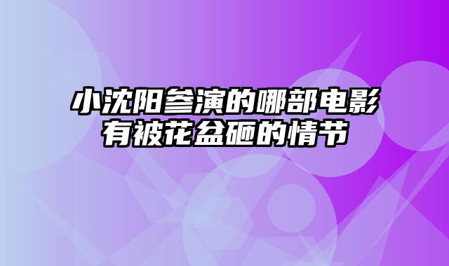 小沈阳参演的哪部电影有被花盆砸的情节