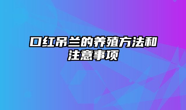 口红吊兰的养殖方法和注意事项