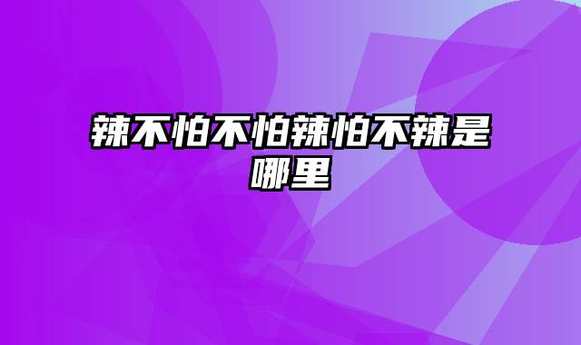 辣不怕不怕辣怕不辣是哪里