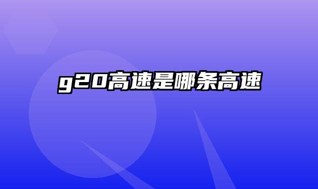 g20高速是哪条高速