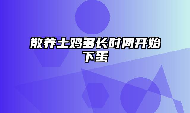 散养土鸡多长时间开始下蛋