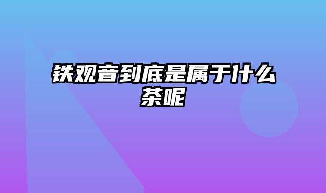 铁观音到底是属于什么茶呢