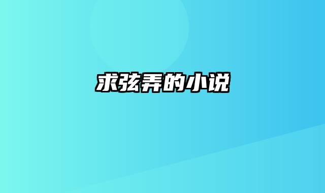求弦弄的小说