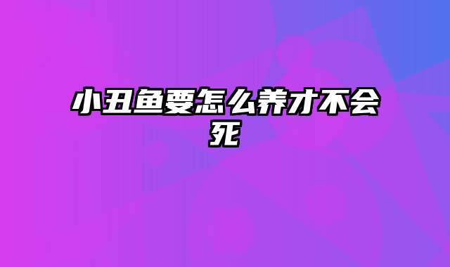 小丑鱼要怎么养才不会死