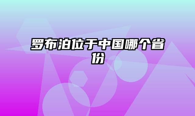 罗布泊位于中国哪个省份