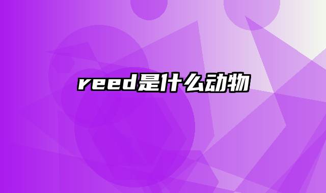 reed是什么动物