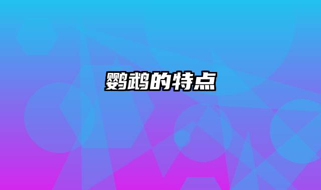 鹦鹉的特点