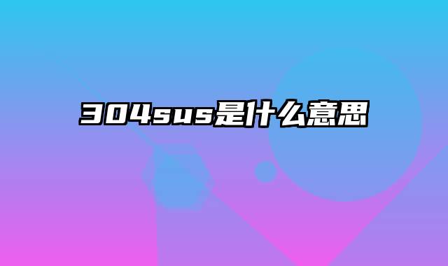 304sus是什么意思