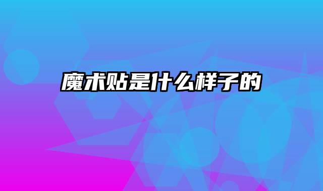 魔术贴是什么样子的