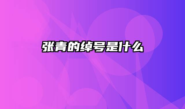 张青的绰号是什么