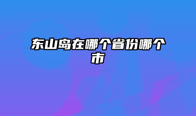 东山岛在哪个省份哪个市