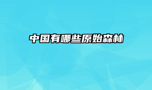 中国有哪些原始森林