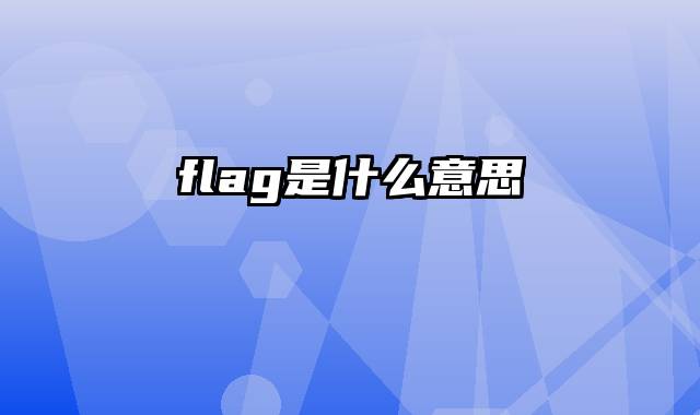 flag是什么意思