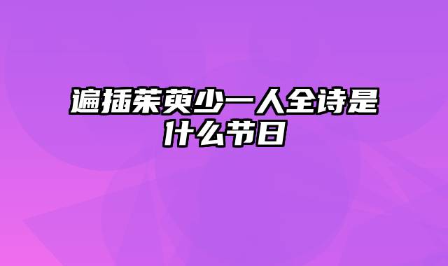 遍插茱萸少一人全诗是什么节日