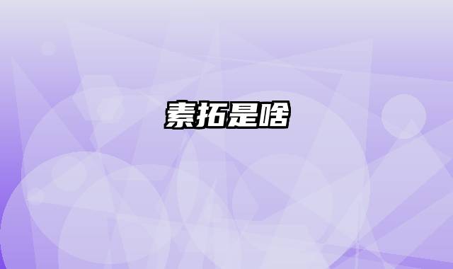 素拓是啥