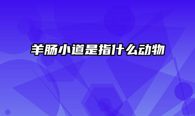羊肠小道是指什么动物