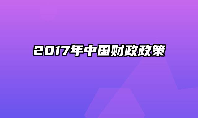 2017年中国财政政策