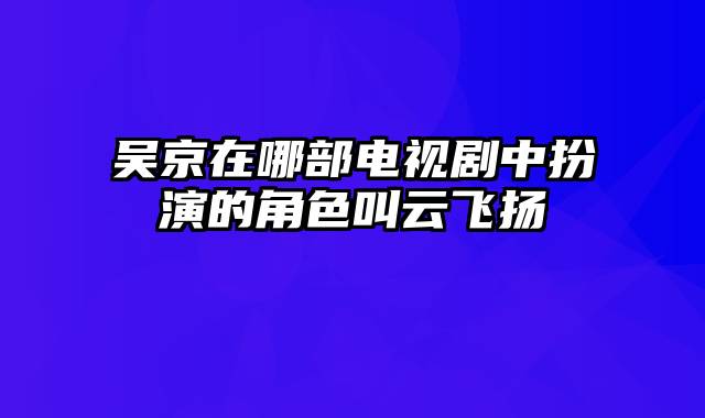 吴京在哪部电视剧中扮演的角色叫云飞扬