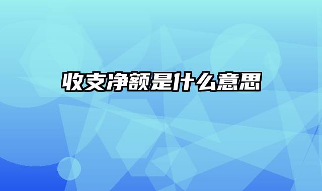 收支净额是什么意思