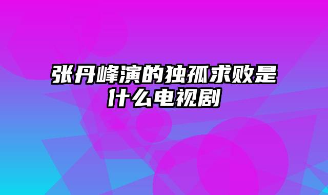 张丹峰演的独孤求败是什么电视剧