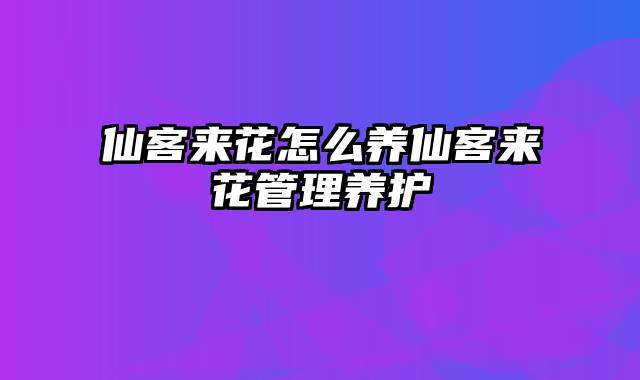 仙客来花怎么养仙客来花管理养护