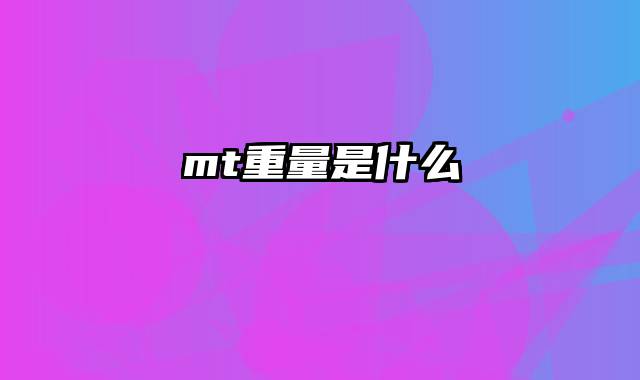 mt重量是什么