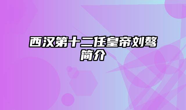 西汉第十二任皇帝刘骜简介