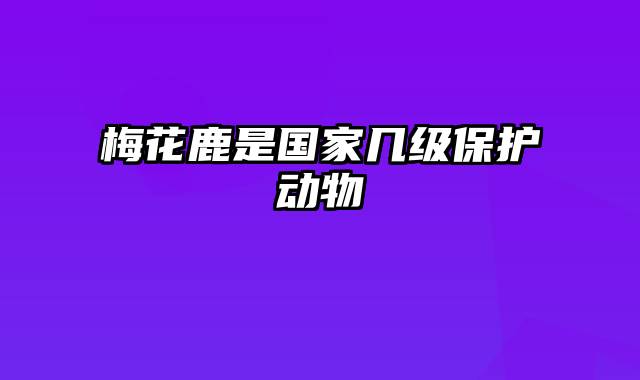 梅花鹿是国家几级保护动物