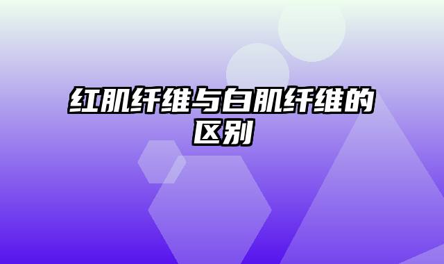 红肌纤维与白肌纤维的区别