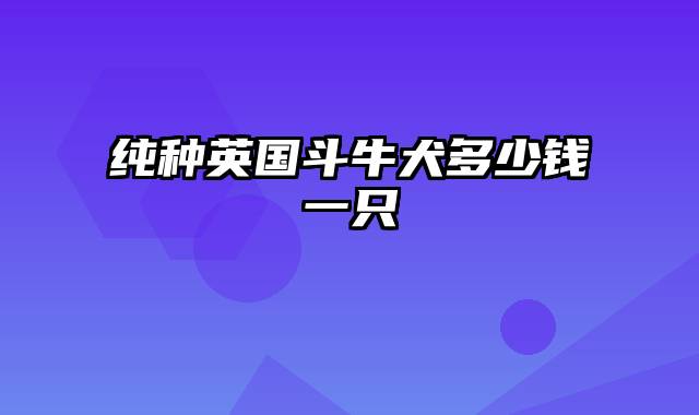 纯种英国斗牛犬多少钱一只
