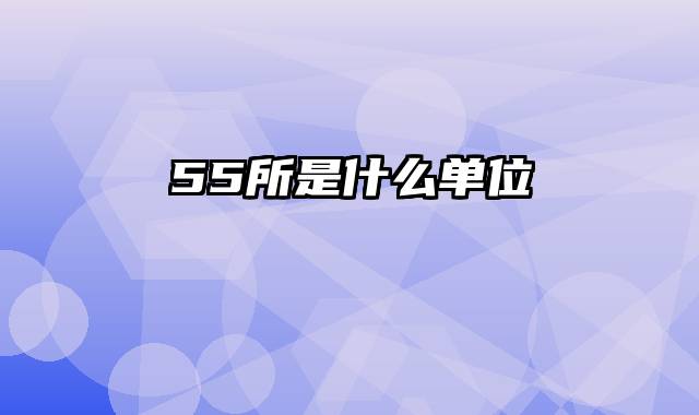 55所是什么单位