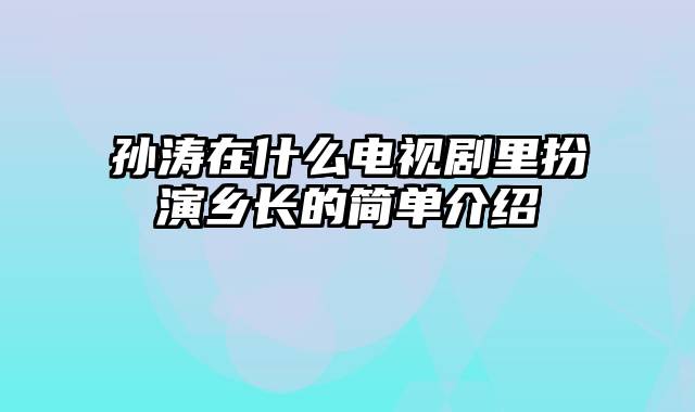 孙涛在什么电视剧里扮演乡长的简单介绍