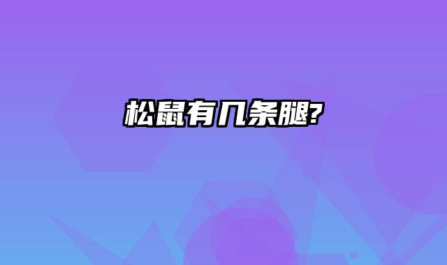 松鼠有几条腿?