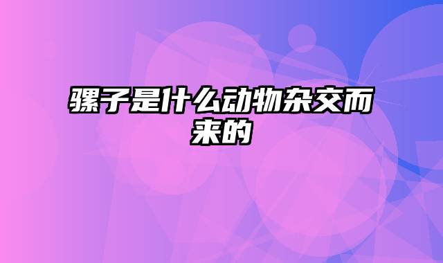 骡子是什么动物杂交而来的