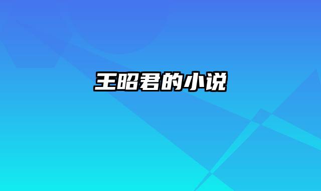 王昭君的小说