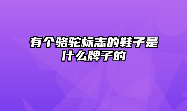 有个骆驼标志的鞋子是什么牌子的