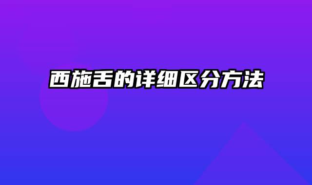 西施舌的详细区分方法