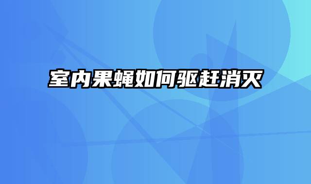 室内果蝇如何驱赶消灭