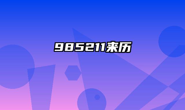 985211来历
