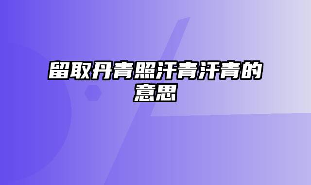 留取丹青照汗青汗青的意思