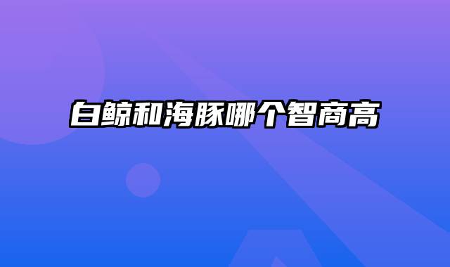 白鲸和海豚哪个智商高