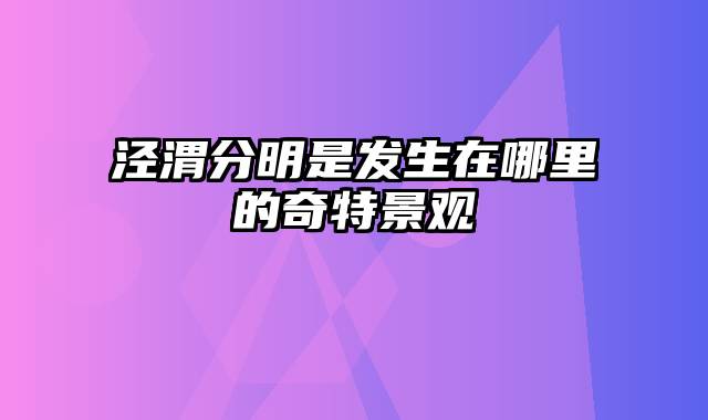 泾渭分明是发生在哪里的奇特景观